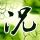 link alternatif rajaqq Kecuali untuk mantra dan rune dangkal Lingshan Fuzong